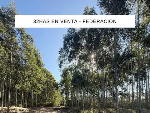 Campo en Venta en Federacion, Federación
