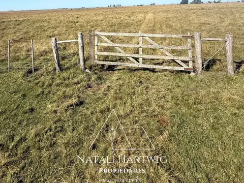 Campo en Venta en El Redomon, Concordia