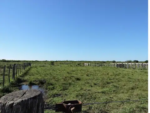 Campo en Venta en Gualeguaychu, Gualeguaychú