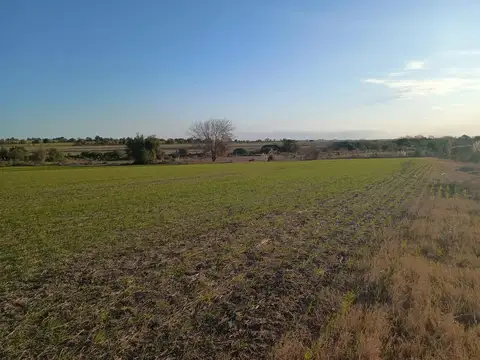 Campo en Venta en Colonia Avigdor, La Paz