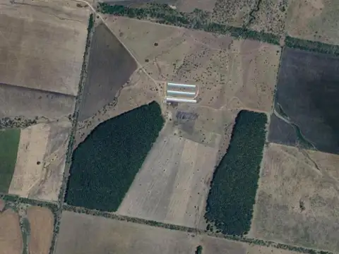 Campo en Venta en Estación Yeruá, Concordia