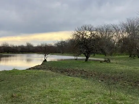 Campo en Venta en Nogoya, Nogoyá