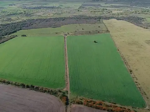 Campo en Venta en Costa del Uruguay, Gualeguaychú