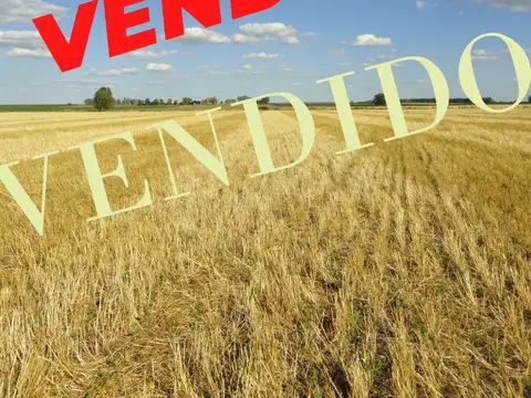 Campo en Venta en Gualeguaychu, Gualeguaychú
