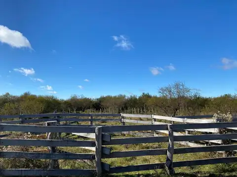 Campo en Venta en Concordia, Entre Ríos