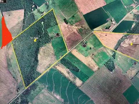 Campo en Venta en Nogoya, Nogoyá