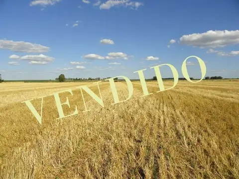 Campo en Venta en Gualeguaychu, Gualeguaychú