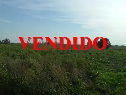 Campo en Venta en Gualeguaychu, Gualeguaychú