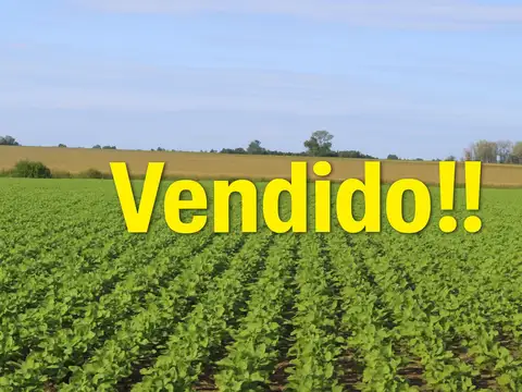Campo en Venta en Gualeguaychu, Gualeguaychú