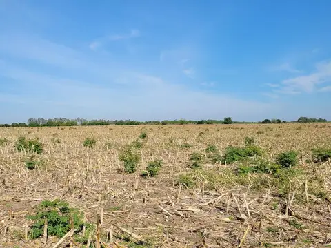 Campo en Venta en Gualeguaychu, Gualeguaychú