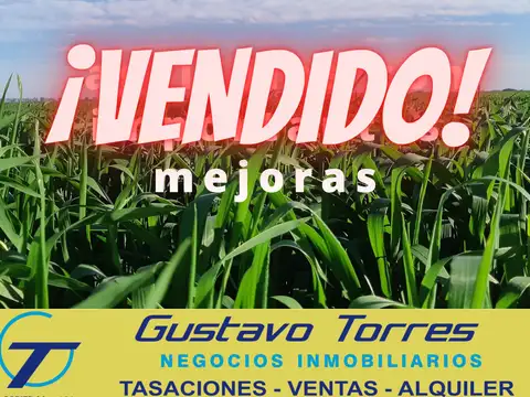 Campo en Venta en Gualeguaychu, Gualeguaychú
