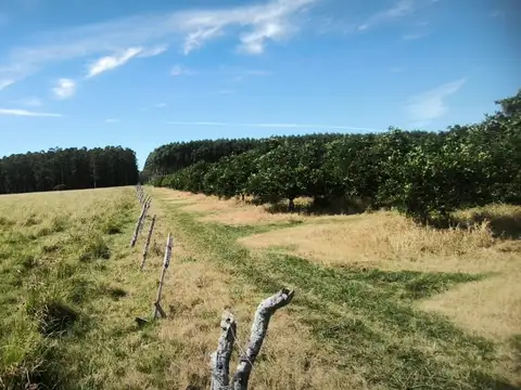 Campo en Venta en Federacion, Federación