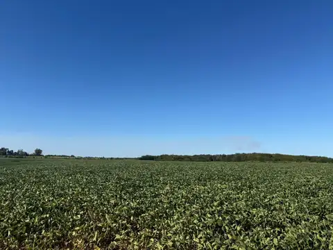 Campo en Venta en Rosario del Tala, Tala