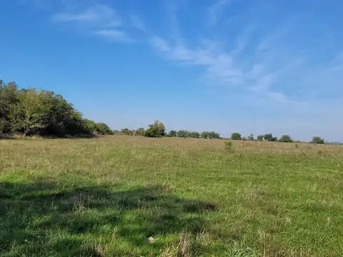 Campo en Venta en Gualeguaychu, Gualeguaychú
