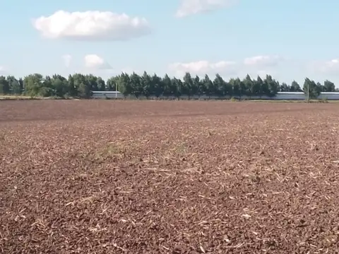 Campo en Venta en Diamante, Entre Ríos