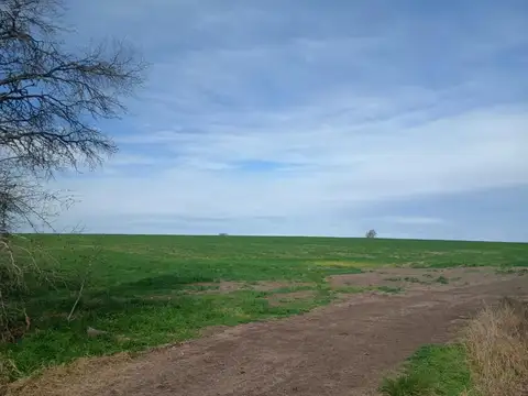 Campo en Venta en Tabossi, Paraná