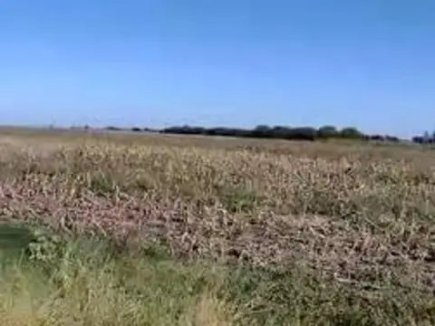 Campo en Venta en Viale, Paraná