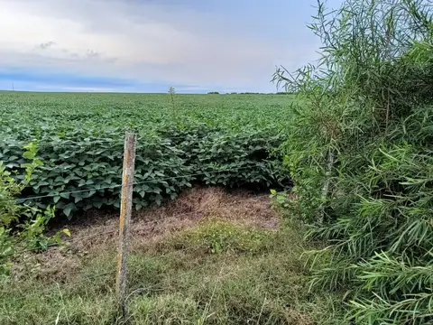 Campo en Venta en Concepcion del Uruguay, Uruguay