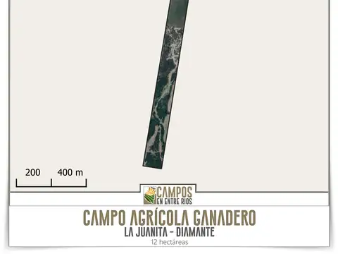 Campo en Venta en Colonia Ensayo, Diamante