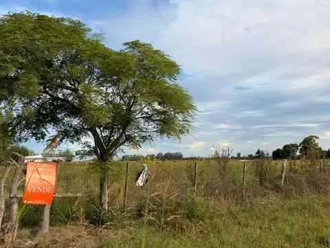 Campo en Venta en Nogoya, Nogoyá