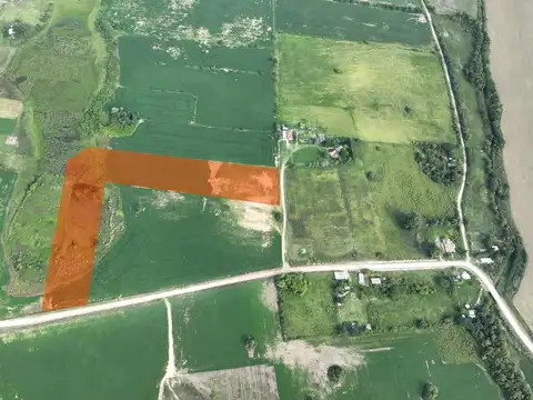 Campo en Venta en Victoria, Entre Ríos
