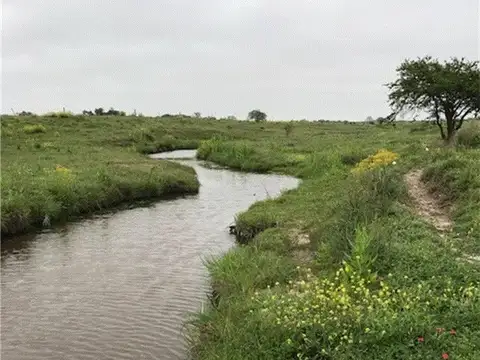 Campo en Venta en Hernandez, Nogoyá