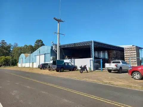 Campo en Venta en Concordia, Entre Ríos