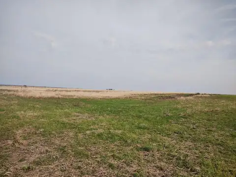 Campo en Venta en Diamante, Entre Ríos