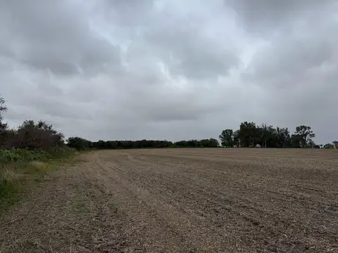 Campo en Venta en Victoria, Entre Ríos