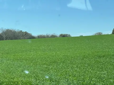 Campo en Venta en Diamante, Entre Ríos