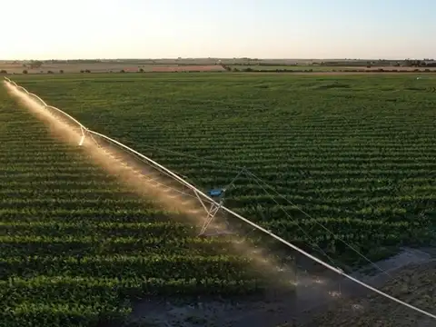Campo en Venta en Victoria, Entre Ríos