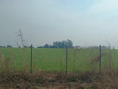 Campo en Venta en Diamante, Entre Ríos