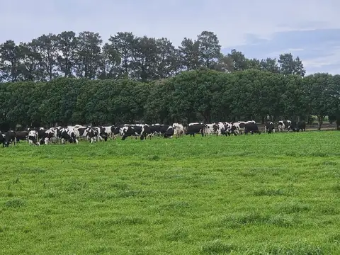 Campo en Venta en Viale, Paraná