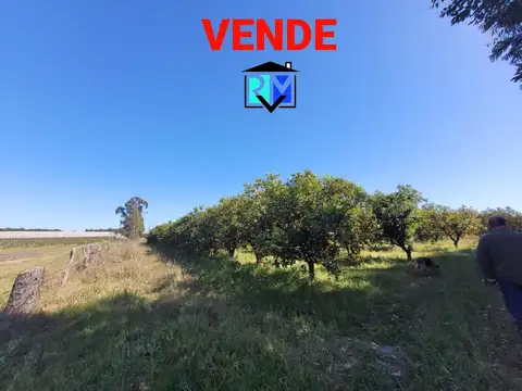 Campo en Venta en Concordia, Entre Ríos