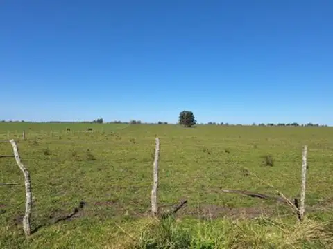 Campo en Venta en Colonia Vazquez, Colón