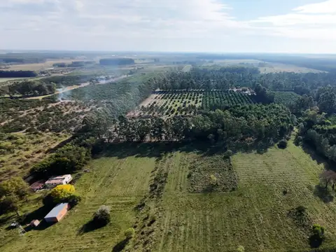 Campo en Venta en Federacion, Federación