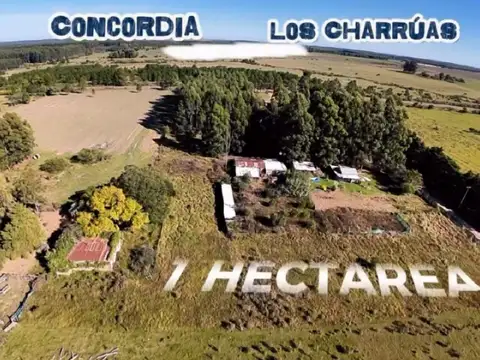Campo en Venta en Los Charruas, Concordia