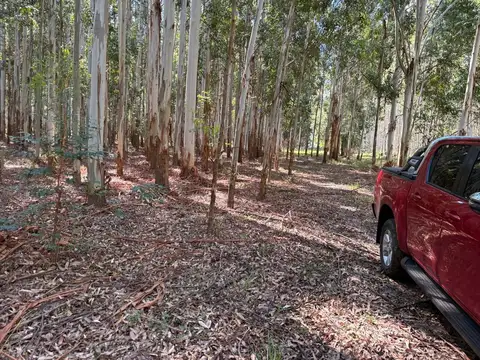 Campo en Venta en Concordia, Entre Ríos
