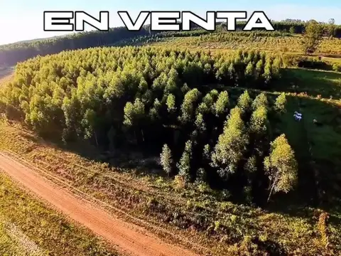 Campo en Venta en Puerto Yerua, Concordia