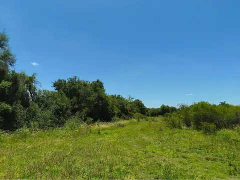Campo en Venta en Gualeguaychu, Gualeguaychú