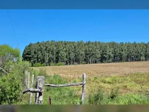 Campo en Venta en Ubajay, Colón
