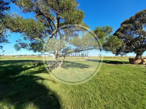 Campo en Venta en Gualeguay, Entre Ríos