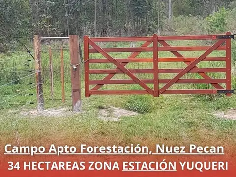 Campo en Venta en Yuqueri, Concordia