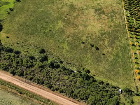 Campo en Venta en Gualeguaychu, Gualeguaychú