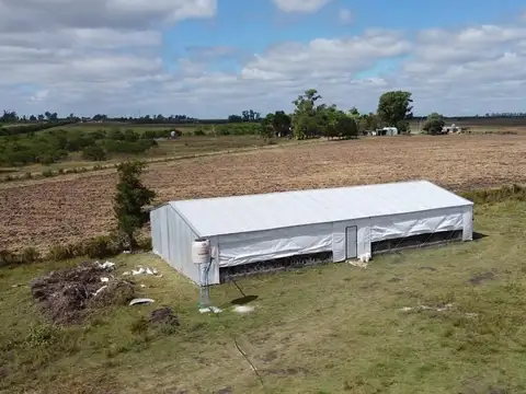 Campo en Venta en Gualeguaychu, Gualeguaychú