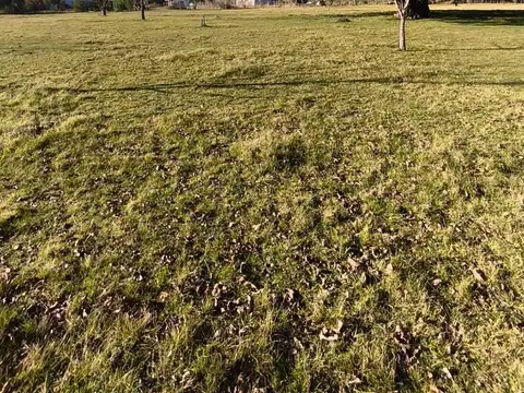Campo en Venta en Gualeguaychu, Gualeguaychú