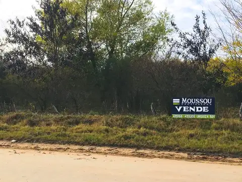 Campo en Venta en Gualeguaychu, Gualeguaychú