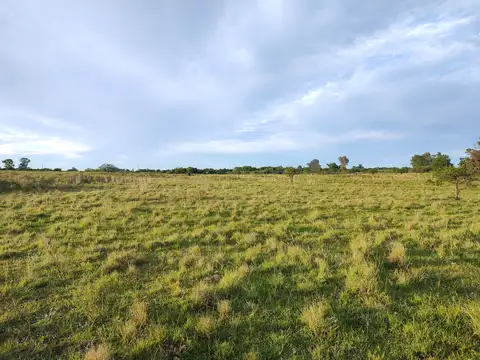 Campo en Venta en Villa Elisa, Colón