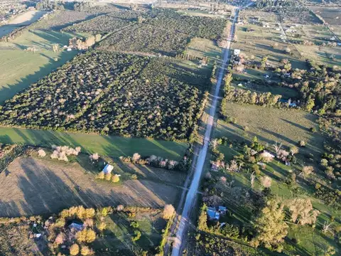 Campo en Venta en Concepcion del Uruguay, Uruguay