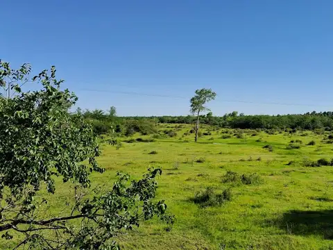 Campo en Venta en Concordia, Entre Ríos